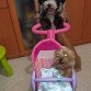 jugando a bebes